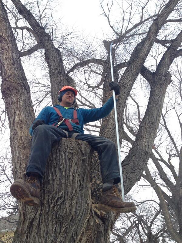 Happydude31's tweet photo. Just another typical day at #work love my #job  #arborist #pruning #yxe http://t.co/5jlqfLwGbb