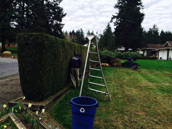 Archterra_'s tweet photo. #trimming #maintenanceguys #archterra Check us out- 866-815-8365 http://t.co/h82WPkP018