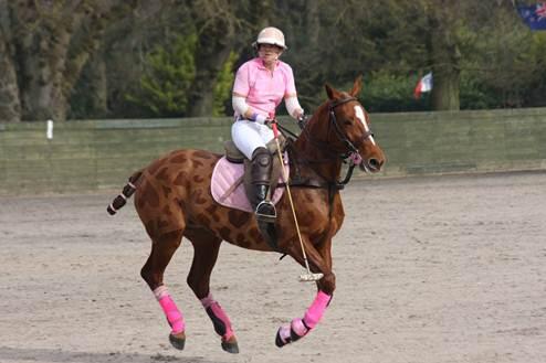 Audi Polo tweet media