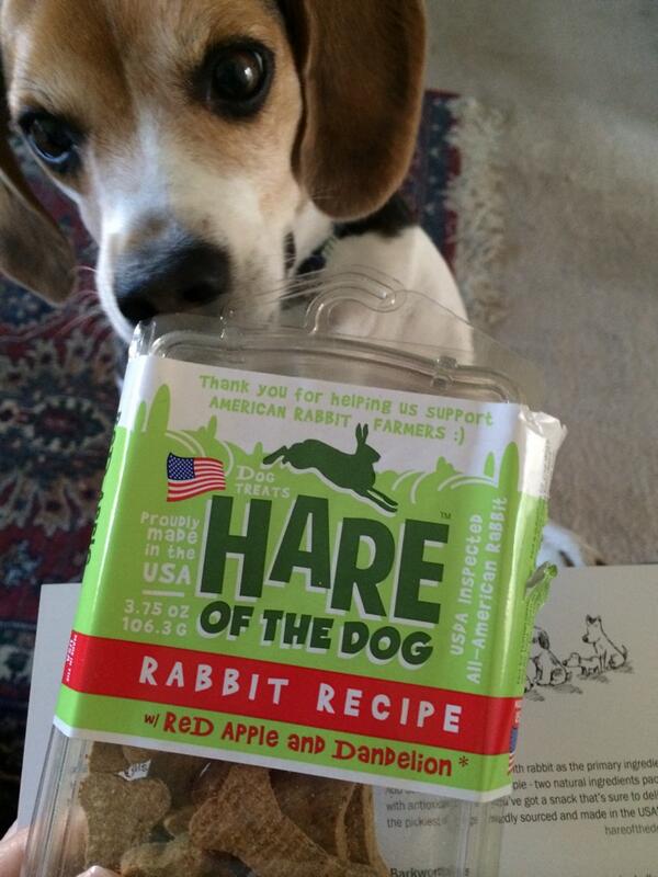 Gonna need this after celebrating St Patty's Day! #StPatricksDay #BarkBox