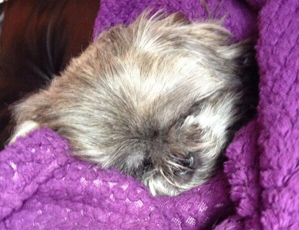 @qmorningshow CJ on Twizzer! Hubs &amp; I don't stop giggling w/u &amp; Liz whenever we share an am drive. Thx for the funny!
