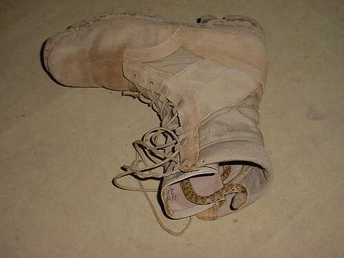 AlexField74's tweet image. Found a new friend!!!
I ran a mile,... what to say!