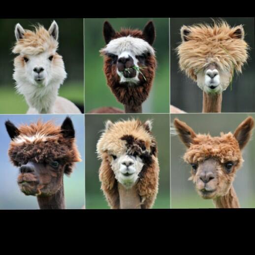 ♡Stephanie Caitlin♡ tweet media