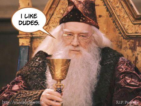 WhatTheFFacts's tweet photo. JK Rowling admitted that Dumbledore is gay and in love with a wizard named Grindelwald. http://t.co/iUgETo1JHw