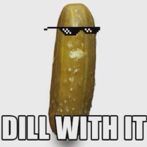 DailyFunFun's tweet image. 