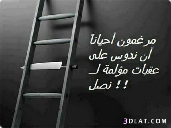 ranah800001's tweet photo. http://t.co/1Q7kwEZXtF