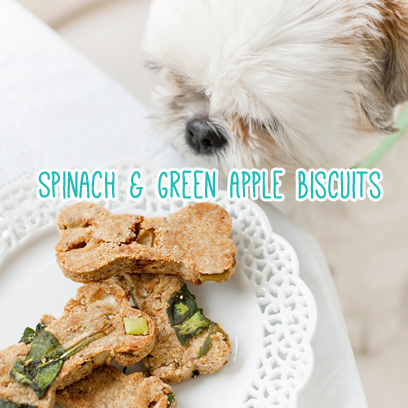 GetPoopBuddy's tweet photo. Have a spring brunch with your dog with these #DIY healthy and green dog treats! Full recipe: http://t.co/MFTv4wX3D6 http://t.co/TtbOVVZRkH