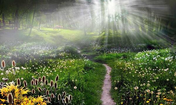 Gabriele Corno tweet media