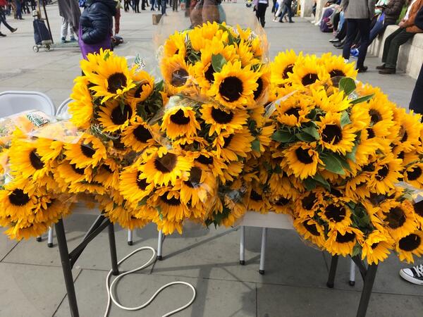 ufo8666's tweet photo. Support for #TaiwanDemocracy from London @savetaiwan2014 @4amtw http://t.co/PtIk54ZOrY