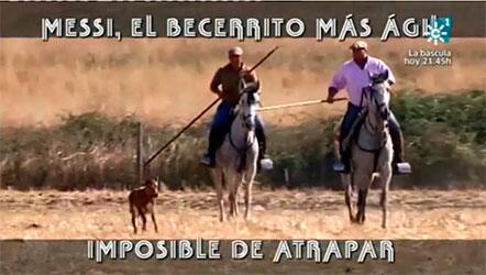 Las Vacas Perdidas en un Inmenso Cerrado/”Messi” el Becerrito más Hábil, Imposible de Atrapar
pablolr89.com/las-vacas-perd…