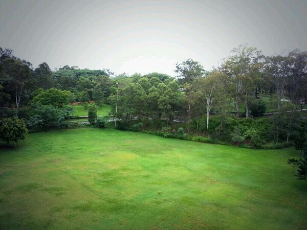 cathexis's tweet photo. 19. Finally green. #100happydays http://t.co/EgdByRyFmB