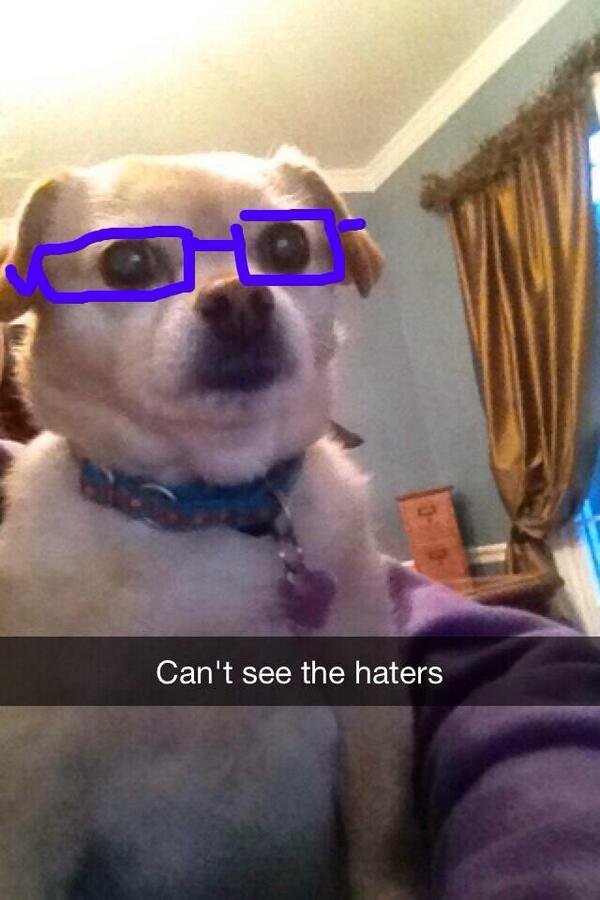 average_hunter's tweet image. when someone criticizes my eq/horse/barn