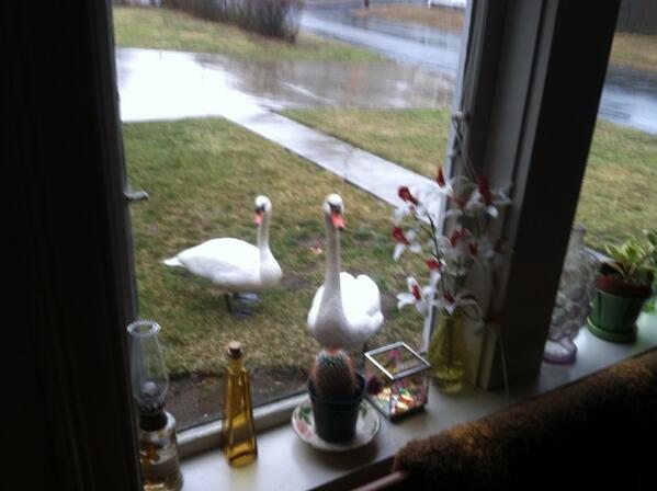 Please go back to the pond!! Lol!
