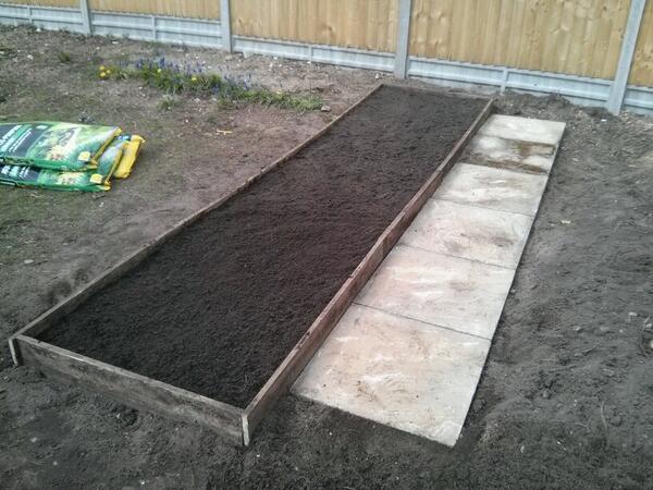 We have almost completed one side of our vegetable patch this weekend. Just the trellis for the peas left.
