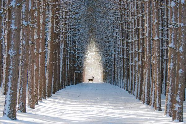 _Paisajes_'s tweet photo. Sierra Cazorla (Jaén). http://t.co/4yU8KhF7iF