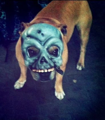 KinglyRayJones's tweet photo. Kingly's Skeletor http://t.co/ERdd3he9Nw