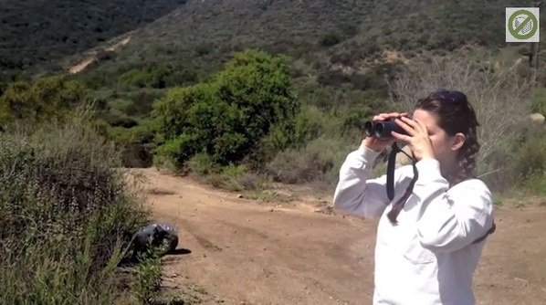 zerionsoftware's tweet image. Video: iForm transformed an engineering project protecting wildlife and improving development. youtube.com/watch?v=VHfqEi…