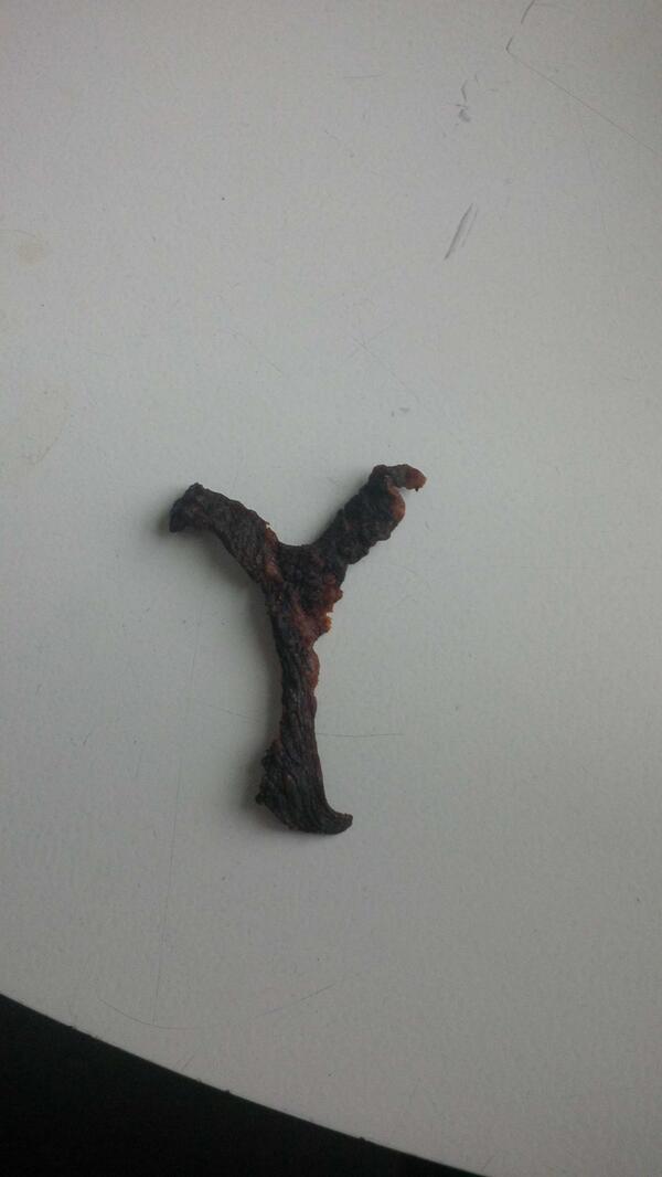 andrewlabaj's tweet photo. Not only is @drtightline an excellent researcher, mentor, he also makes excellent letter-shaped jerky. http://t.co/Py4NEHtPaS