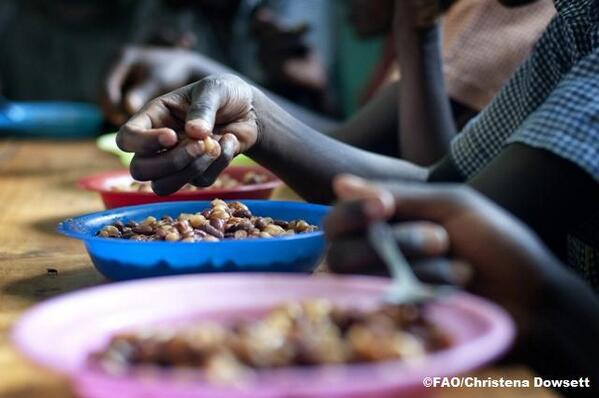 FAOKnowledge's tweet photo. #FactSheet: Malnutrition manifests in many forms. Why nutrition matters: http://t.co/1RKE8uWMDc #ICN2 http://t.co/YtYDBYaN5k