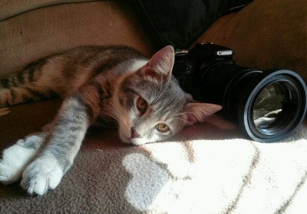 vinceterrazas's tweet photo. My cell phone background screen, JASPER! http://t.co/6ro4MXWl8v