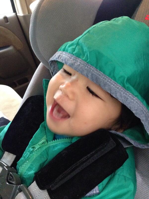 ficusyou tweet media