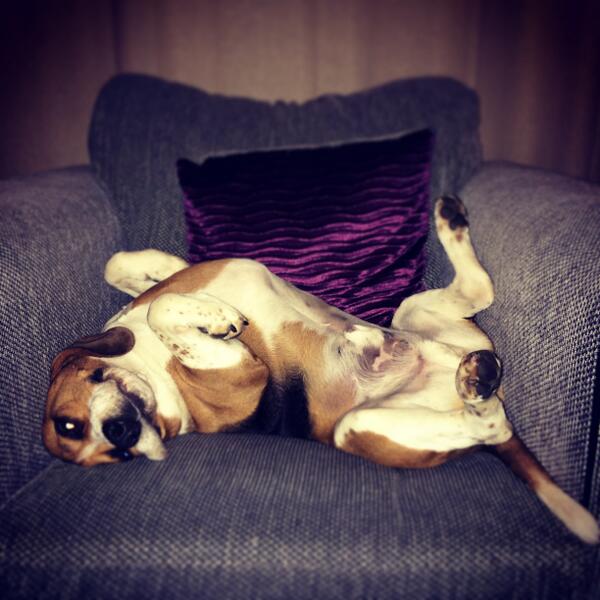 Dad, TICKLE MY BELLY!