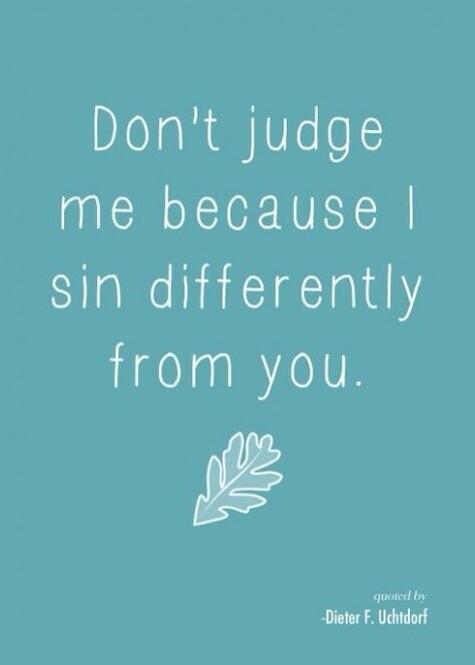 Redtail Falconry (@yeolderedtail) on Twitter photo 