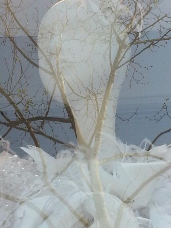 Douceur des fantômes 6.