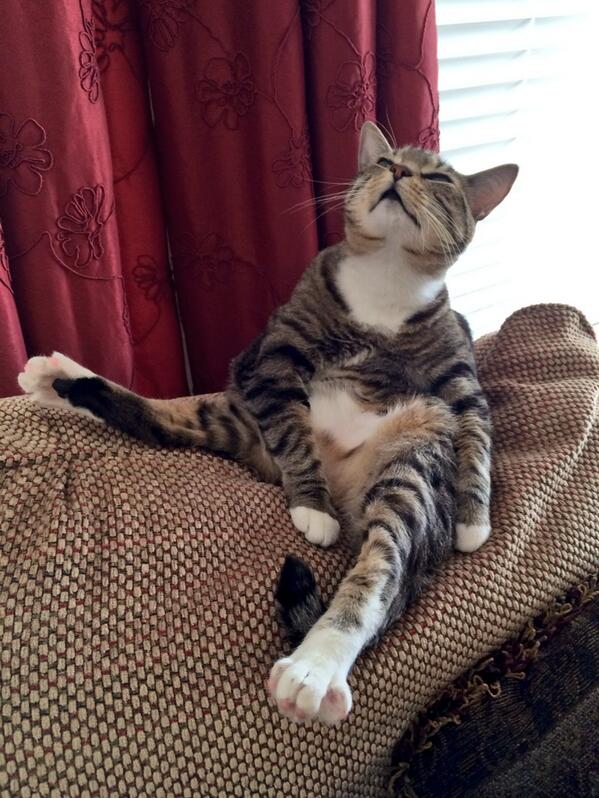 sincerelyshaska's tweet photo. Too cool for school. http://t.co/Gw05kpfgIP