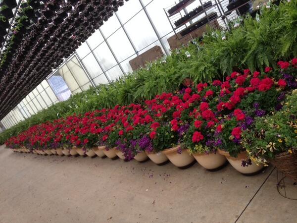 RamboNursery's tweet photo. @HomeDepot It's a gloomy day outside, but not @RamboNursery We are #spring ready!!  #teamrambo #SpringMadeSimple http://t.co/zusA61rxDh