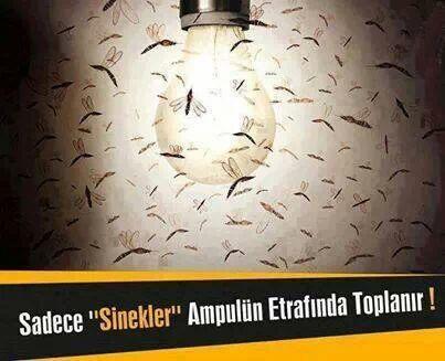 Mihailovic44's tweet image. #sinekler