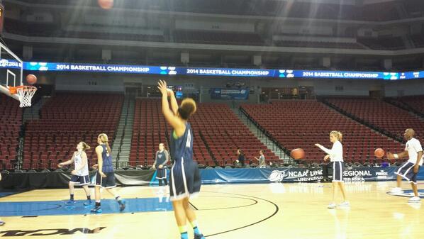 TheReal_BoSteed's tweet photo. @xo_ballin11 @XoJoMojo @byuwbb #Sweet16 http://t.co/uj09TE8Vcj
