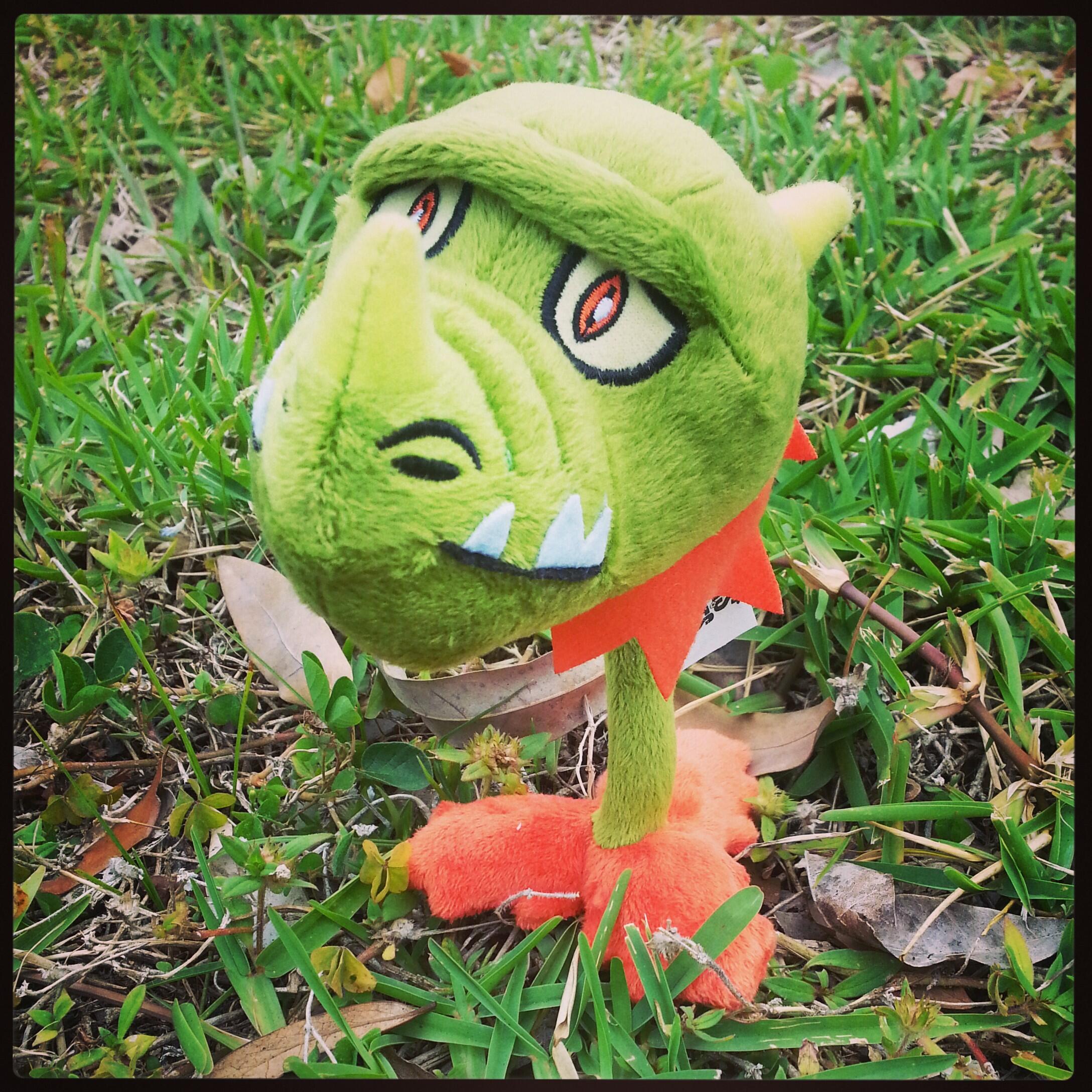 Jazwares X It s a cloudy day retweet to show our new PlantsvsZombies Snapdragon Plush some sunshine plantsvszombies http t BheTM8ombY X