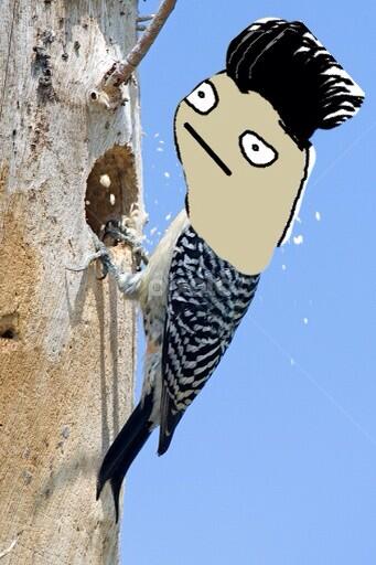 BASTILLEdanyul's tweet image. weh peck ourselvs undun