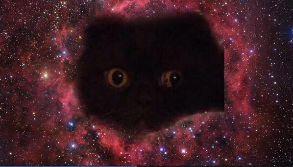 ChocoBeo's tweet image. Moi quand je rêve :$