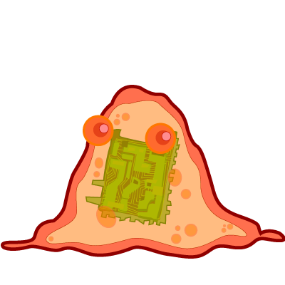 RadhonSpace's tweet photo. Watch out for the rust amoebas out on the field! Small but packs a punch! http://t.co/3MawuELMGO