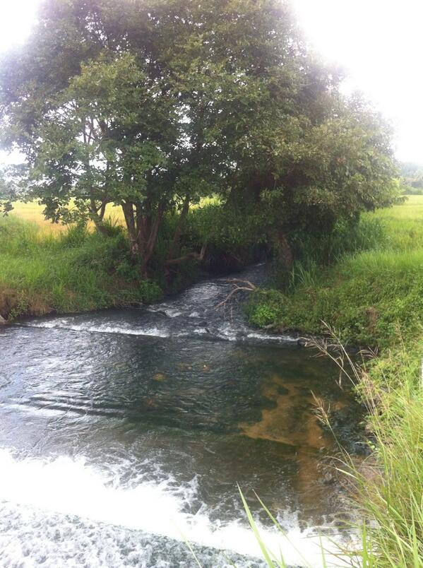 naizer77's tweet photo. Sri Lanka nature http://t.co/W1jLRuSOXh