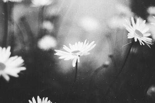 frickdepressed's tweet photo. I wonder what it's like to be happy again:( http://t.co/sW7jKqVYxy