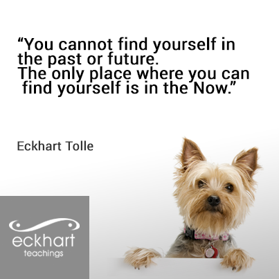 Eckhart Tolle tweet media