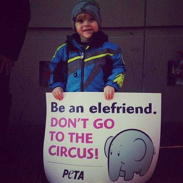 peta's tweet image. Little protester, big change! ❤️ 

RT if u #BoycottTheCircus too! #Elefriend