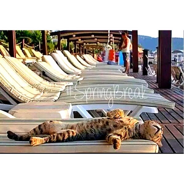 FCAForDaw's tweet photo. SO. DONE.

#SpringBreak

#NufSaid http://t.co/F0QWp21j4S