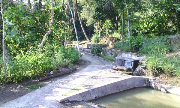 airinbi's tweet photo. Halaman depan rumah. Ko yang namonyo  kuran-kuran @Tiaaarab  @ZaraGanbate http://t.co/YKVllVjDoD
