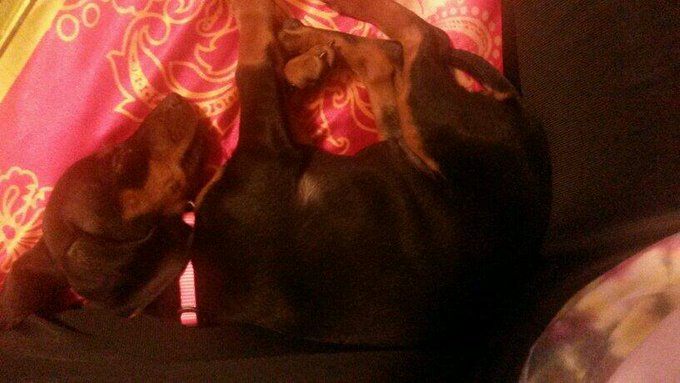 Watch La’Rue's leaked NSFW photo on TwXstars