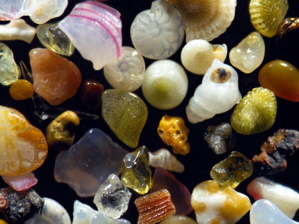 TimPrinceIT's tweet image. RT @WIRED: Photos: Regular old brown sand looks incredibly beautiful under a microscope wrd.cm/1fuLVQs http://t.co/5OqT9I3VSD...