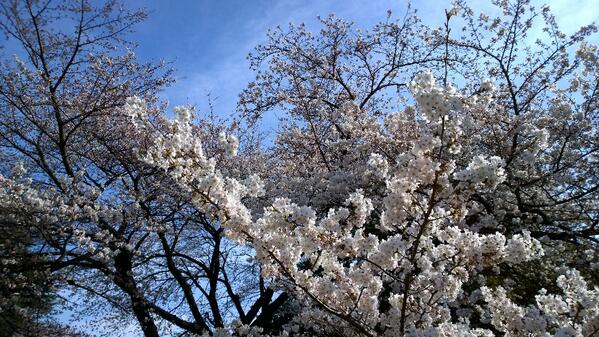Shinjuku Gyoen National Garden.