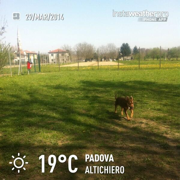 klaudioprisco's tweet image. Check out the #Weather in #Altichiero via #instaweather getinstaweather.com #wx