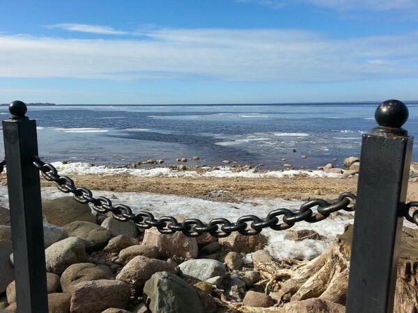 IVFedorov's tweet photo. I'm at Парк "Дубки" (Сестрорецк, Санкт-Петербург) w/ 6 others http://t.co/p0lCoBrvwR http://t.co/SOMlArsKv3