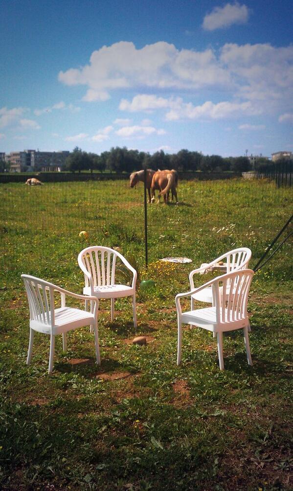 TILT/Centro Creativi tweet media