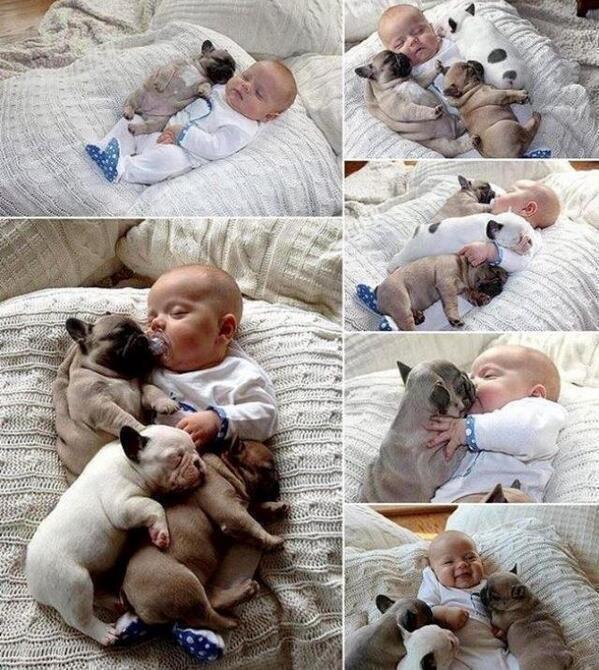 ThatsAnimals's tweet photo. Too much cuteness! http://t.co/XTeSJ8H5Km