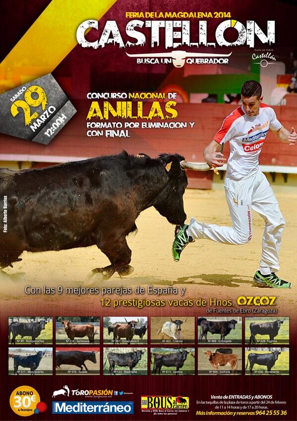 Esta mañana regresa la emoción de las anillas a Castellón. 12 prestigiosas vacas frente a 9 parejas de anilleros